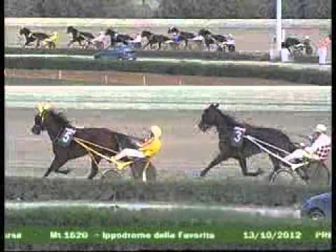 Ippodromo Palermo La Favorita - G.P. Trinacria - 13 Ottobre 2012