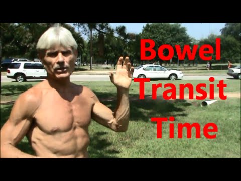 download lagu mp3 mp4 Transit Time, download mp3 Transit Time free downloadn, video klip Transit Time