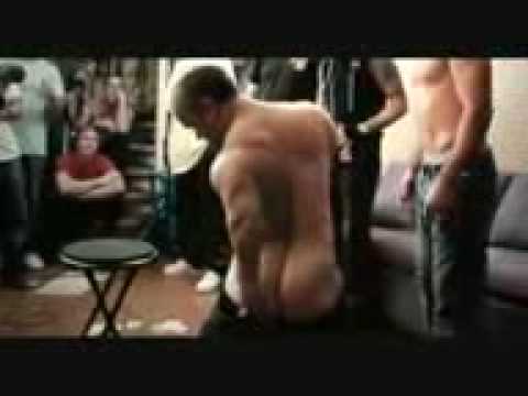 Jackass Enano en silla electrificada