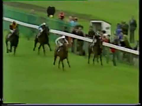 1980 Yorkshire Oaks Shoot A Line