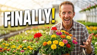 Landscaper Secrets: 10 Annuals You Should Be Planting Now