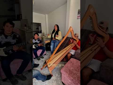 Un ensayito, porque nos vemos este 13 de diciembre en Puerto Rondón (Arauca)