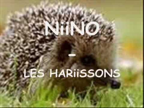 nino - les harissons