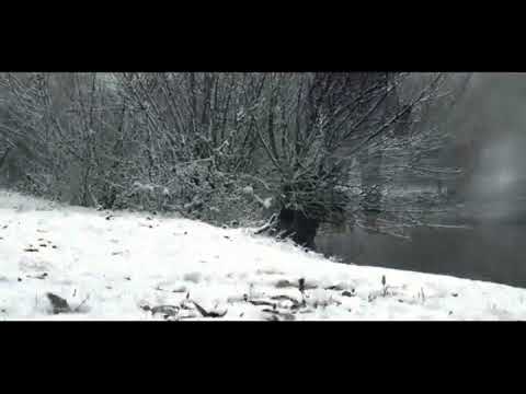 Nihat Yurtsever - Çaresiz  [Official Video]