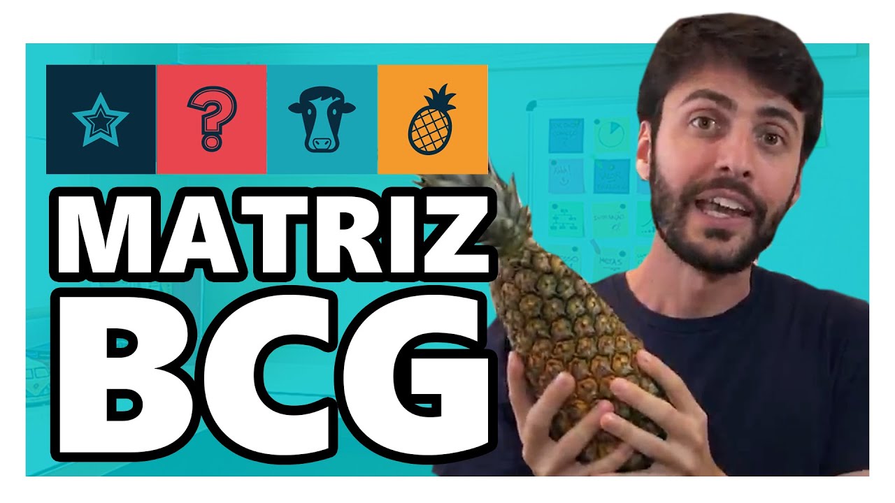 MATRIZ BCG: O QUE É E COMO FAZER A MATRIZ BCG?