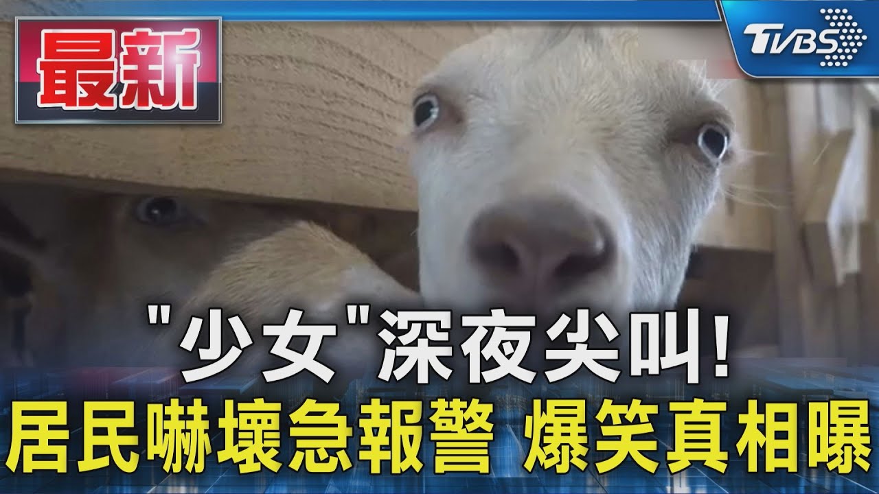 「少女」深夜尖叫! 居民嚇壞急報警 爆笑真相曝
