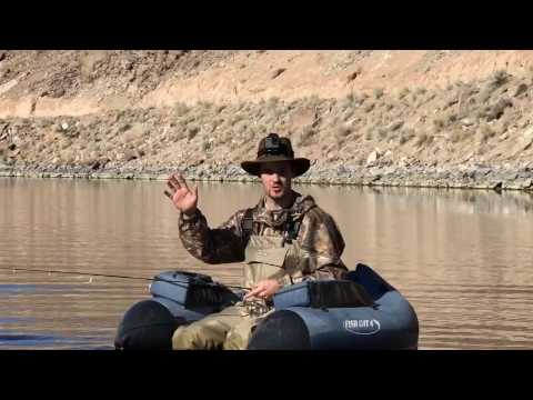 How to Fish the Kraken