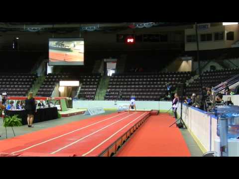 USA Alexander Renkert Sr Men Team Final 2014 Senior Pan Am Gymnastics Championships Tumbling
