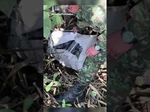 #Inseguridad | 🗣Héroe de cuatro patas detecta explosivos en zona rural de #Rovira