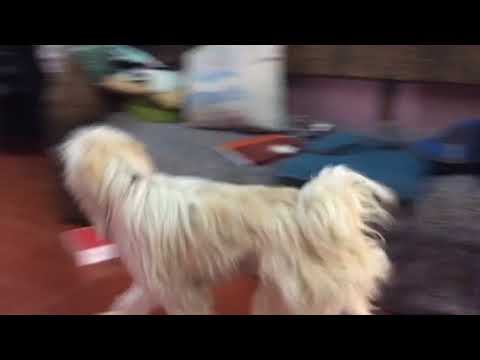 Feb 9,another casual day