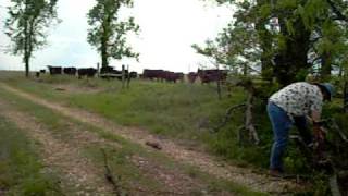 preview picture of video '05-01-10: Wabaunsee County, KS Farmers Roads part 3.'