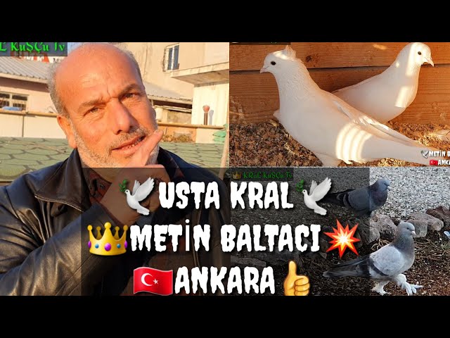 Videouttalande av Metin Turkiska