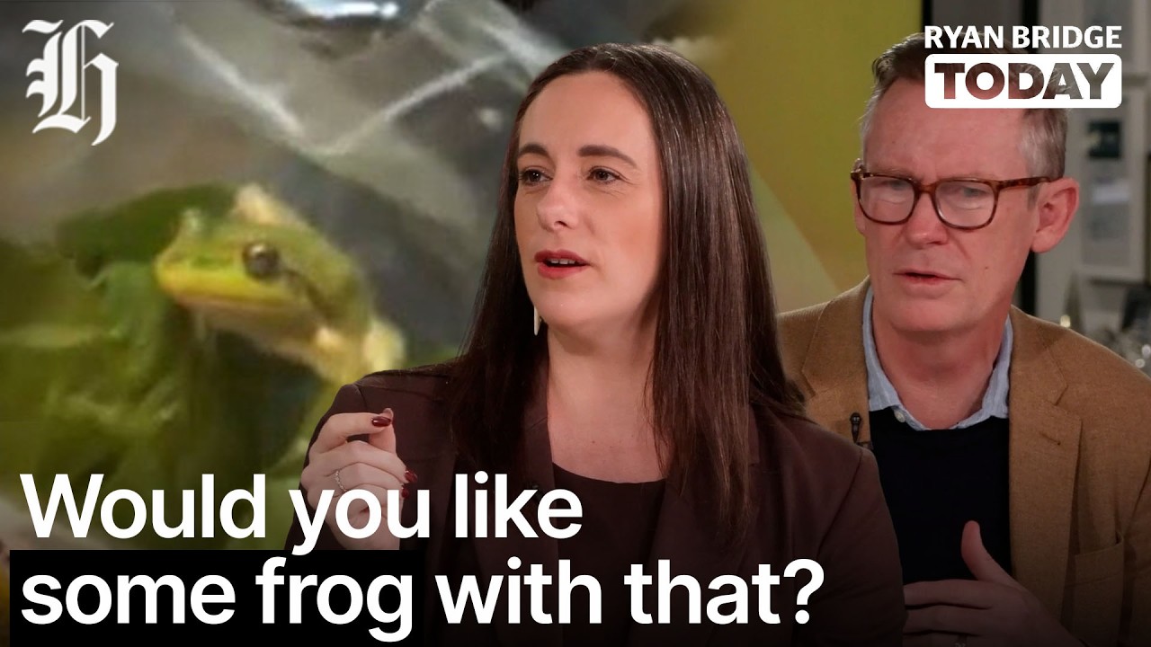 Would you like some frog with that salad? Amphibian found in Woolworths lettuce | Ryan Bridge TODAY