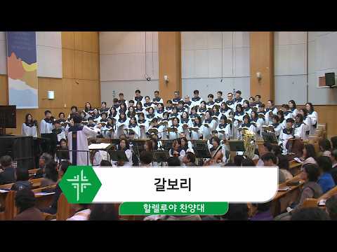 [26.03.01] 할렐루야 찬양대 - 갈보리 대표이미지