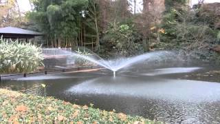 preview picture of video '[ZR-850]川口グリーンセンター 白鳥の池の噴水[Full HD] -The fountain in the Swan Pond, Kawaguchi Green Center-'