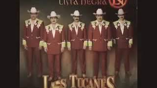 La Profecía Tucanes De Tijuana