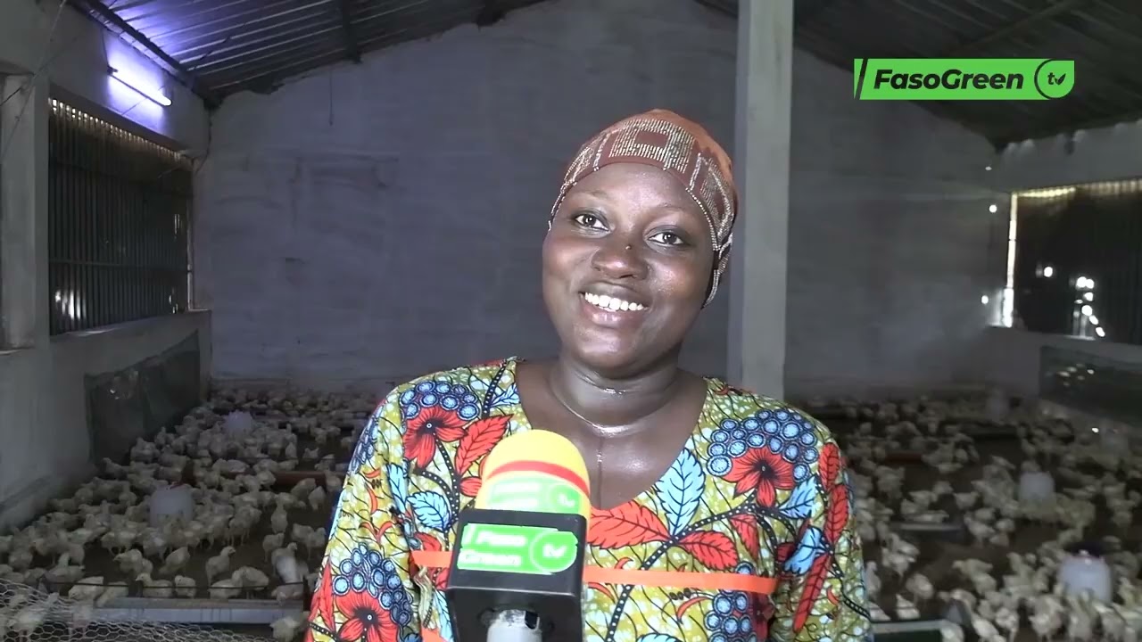 Aviculture : zoom sur Maane Agro-Business