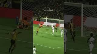 O gol que levou o Novorizontino à final do Paulistão após 36 anos! Foi falha do Timão, torcedor?