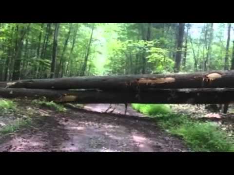 Hibbs Logging Lumberjill Skidder Girl Logger