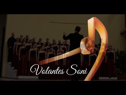 Volantes Soni – Ave Maris Stella – J. Sykulski