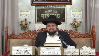 הרב דוד חביב כהן | התבוננות בפרשה | בית הכנסת מוסאיוף (בית הכנסת מוסאיוף) - התמונה מוצגת ישירות מתוך אתר האינטרנט יוטיוב. זכויות היוצרים בתמונה שייכות ליוצרה. קישור קרדיט למקור התוכן נמצא בתוך דף הסרטון הרב דוד חביב כהן | התבוננות בפרשה | בית הכנסת מוסאיוף (בית הכנסת מוסאיוף) - התמונה מוצגת ישירות מתוך אתר האינטרנט יוטיוב. זכויות היוצרים בתמונה שייכות ליוצרה. קישור קרדיט למקור התוכן נמצא בתוך דף הסרטון