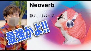 【最強のリバーブ】iZotope Neoverb 抜群の音作りのしやすさ!徹底解説!【DAW DTM プラグイン】