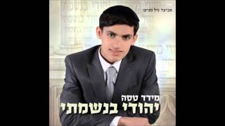 מידד טסה עושים תשובה 2013 meydad tasa