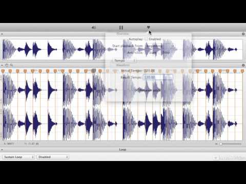 Free Download Loop Editor Explored TUTORiAL