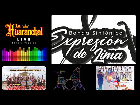 PARRANDA DE CUMBIAS N°2 [SAXO] 🎷