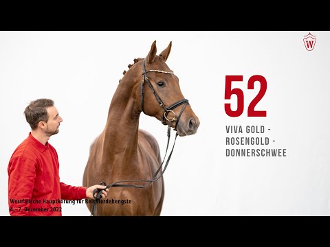 Westfälische Hauptkörung 2022 Reitpferde: Kat.Nr.  52  Viva Gold  -  Rosengold  -  Donnerschwee
