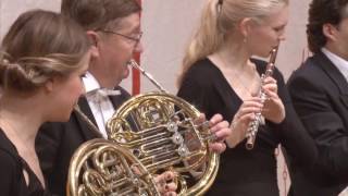 Donauwalzer, Alt-Wiener Strauss-Ensemble, The blue Danube Waltz