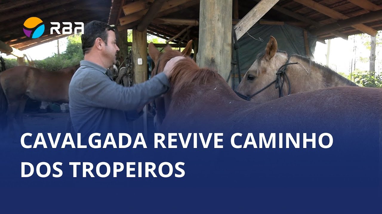 Cultura e história na estrada: cavalgada dos tropeiros começa amanhã