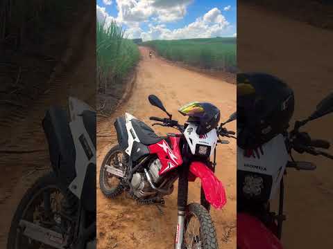 HONDA XR TORNADO 250 - PAUDALHO-PE
