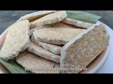 What is tempe? A guide to the plant protein