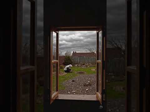 Prayer Amidst Turmoil #sora #ukraine #ukrainewar