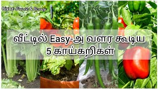 5 Easy Growing Vegetables at Home in Tamil  RiyAz-
