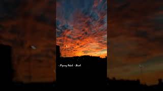 Download lagu Story WhatsApp, Instagram romantis Payung Teduh - Resah 30 detik mp3