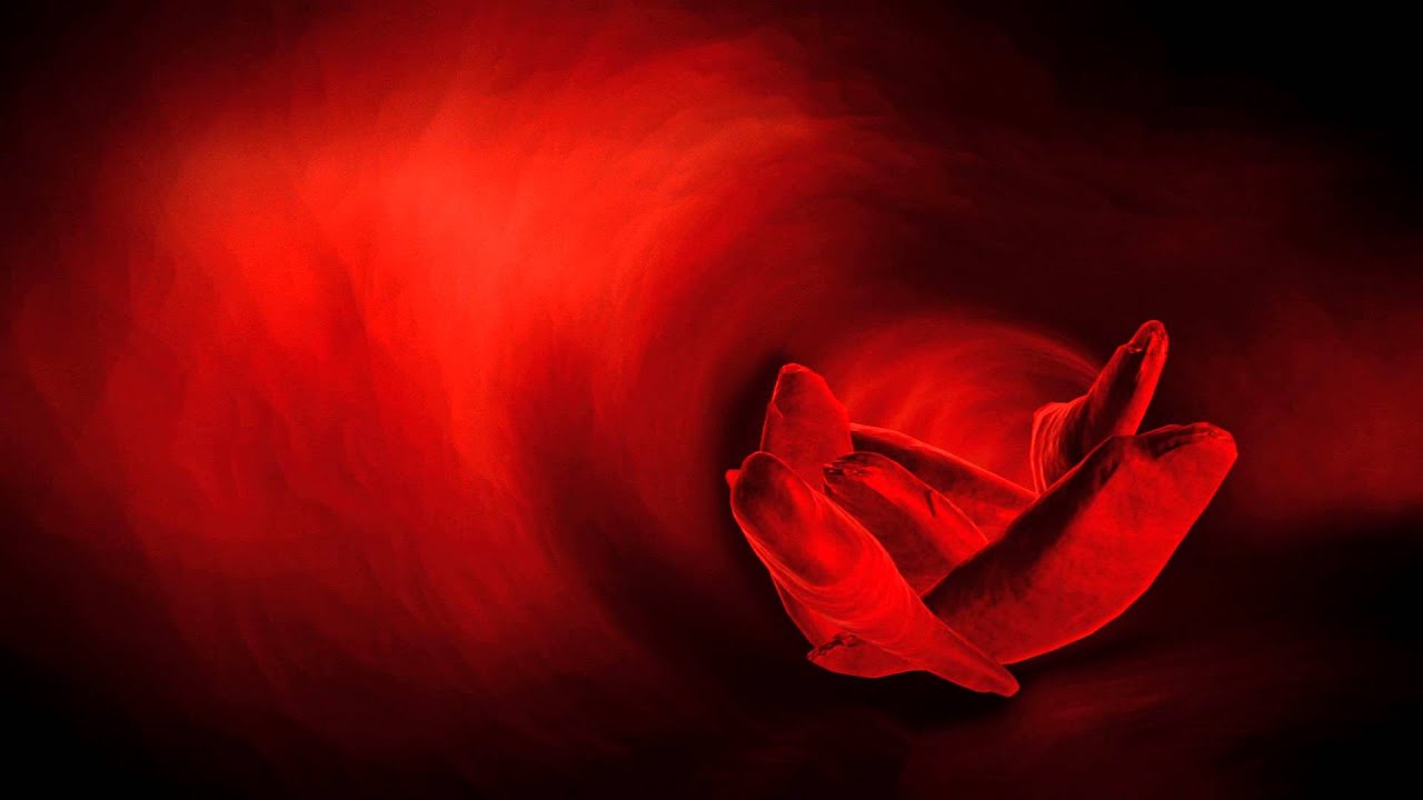 What is Sickle Cell Anemia?