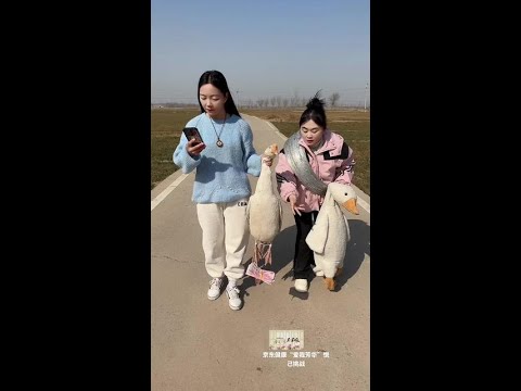 #京东健康爱我芳华 @京东健康说