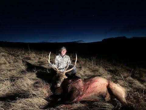 shooting a good size bull elk 200 yards!