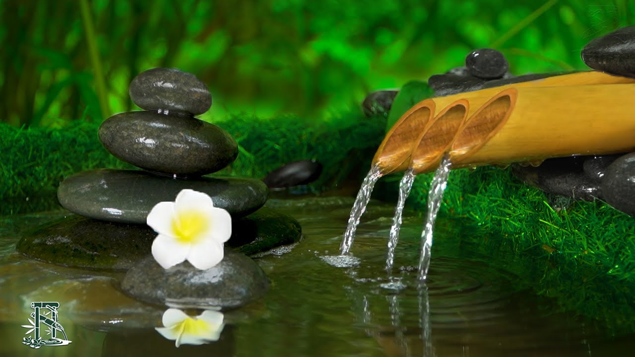 Relaxing Music || Nature Soul, Healing Music, Meditation Music, Spa Music, Music Sleep, Study Music.