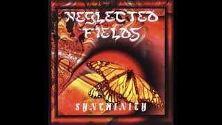 Neglected Fields - Synthinity (1998)