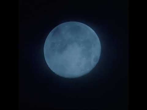 (free) xxxtentacion indie type beat - too scared