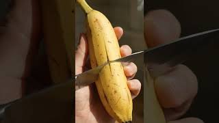 BANANA AZUL CONHECIA #shorts #viral #dicas #food #fruits #lemon