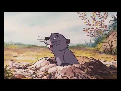Gopher Tells Pooh About Windsday