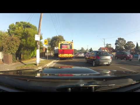 Punchbowl Bus Company MO-368