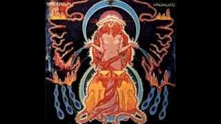 Hawkwind - Black Corridor/Space Is Deep