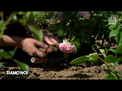 Siamo Noi (Tv2000), 16 maggio 2024 - Pistoia, i “Giardini terapeutici” di Andrea Mati