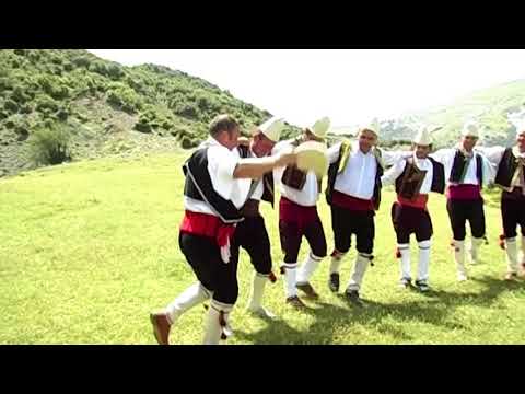 Dhelpra pertej ne ledhe