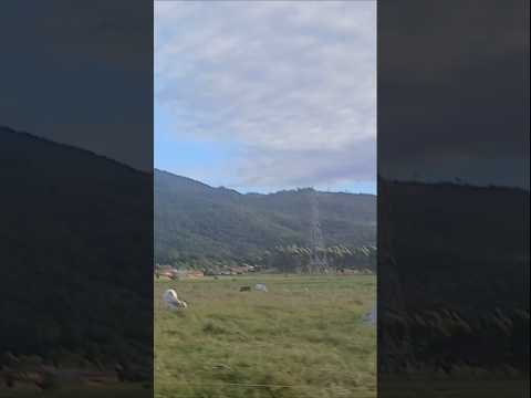 Estrada De Chão Batido, Gado, Rio Tijucas E A Natureza - Papagaios - Canelinha/SC